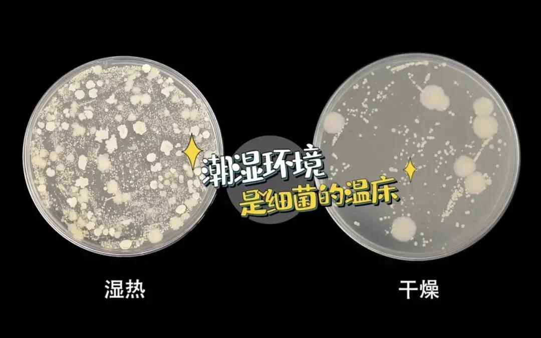 疫情反撲，居家防疫廚房重中之重！