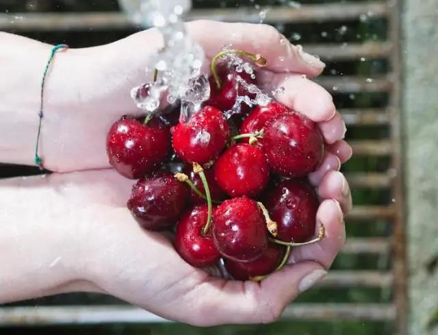 車?yán)遄幼杂闪藚s不敢吃？佳歌幫你另辟蹊徑暢享美食