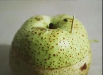 一雷驚蟄醒，今天要用什么來叫醒你的胃？