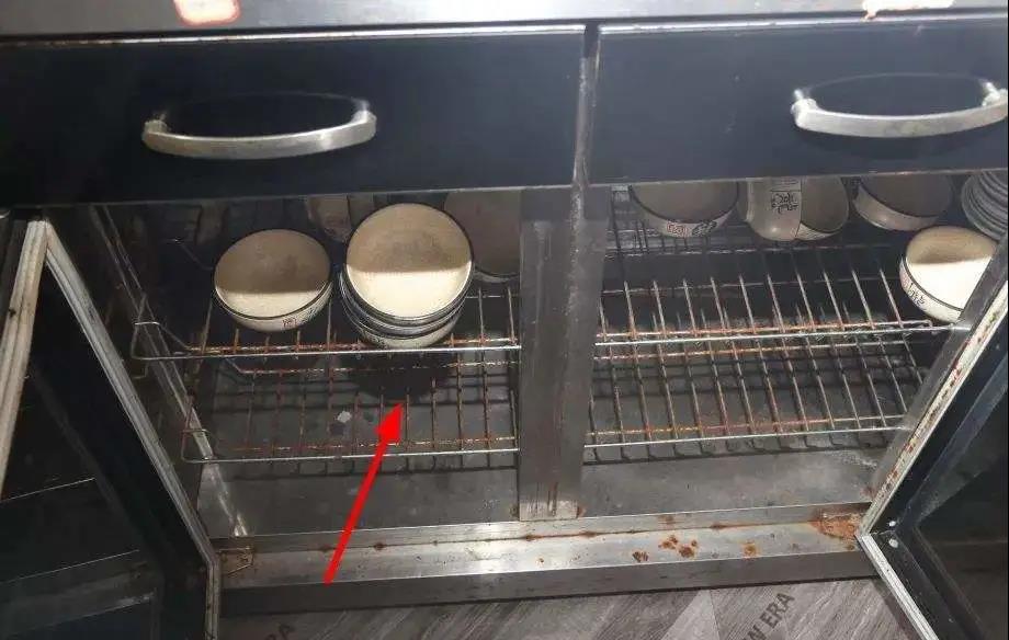 除了殺菌，一臺消毒柜可以多貼心？