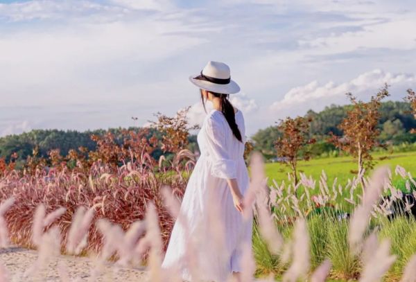 高品質(zhì)生活，佳歌集成灶你值得擁有！