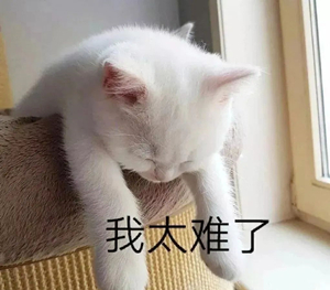 時間很急，美味告急！幸好有佳歌A6DZK蒸烤獨立集成灶！