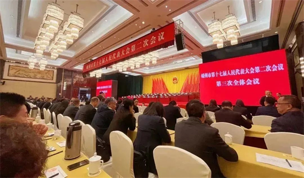 佳歌電器袁海濱參加我市第十七屆人民代表大會(huì)二次會(huì)議