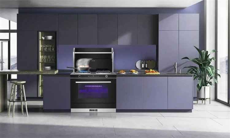 佳歌A5二星消毒柜款集成灶，守護(hù)家人的健康！